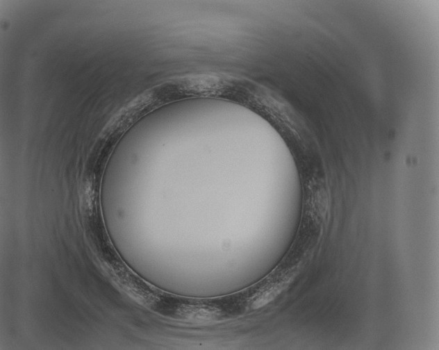 X0000085250597200703091300