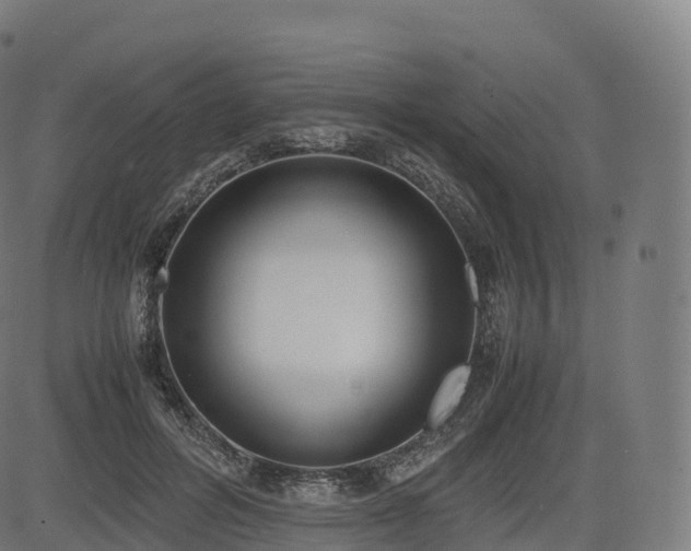 X0000085250600200703091300