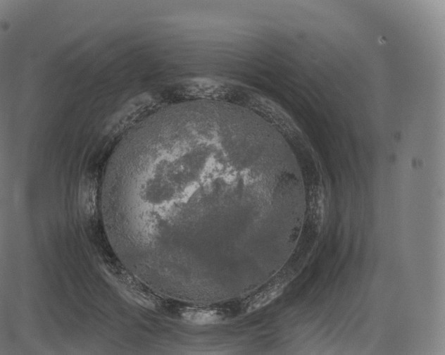 X0000085250602200703091300