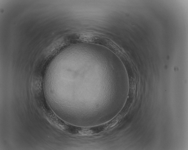 X0000085250603200703091300