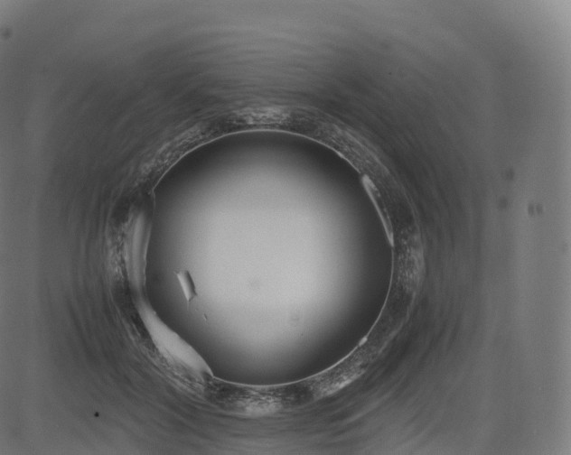 X0000085250604200703091300