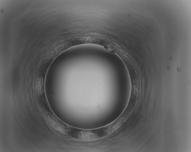 X0000085250605200703091300