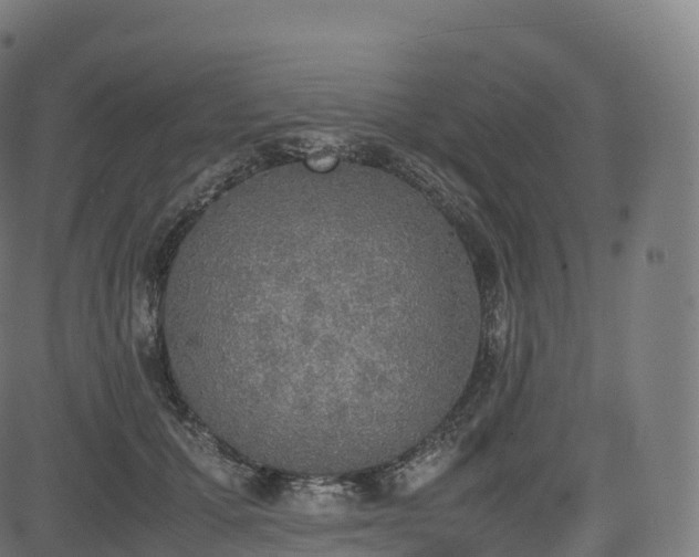 X0000085250607200703091300