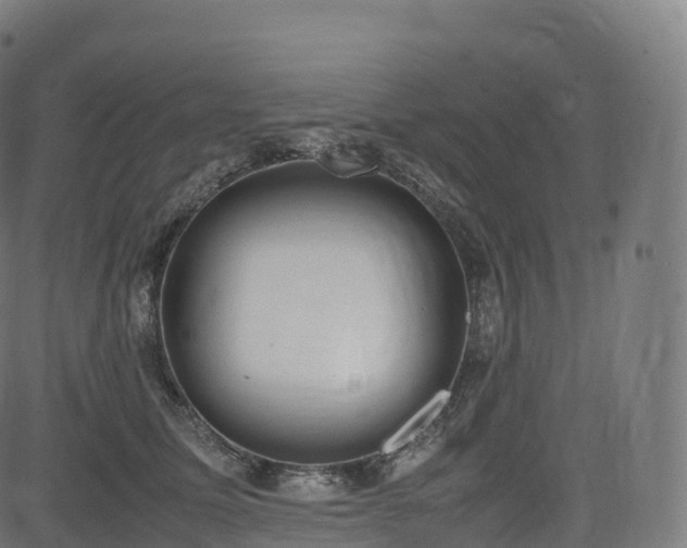 X0000085250611200703091300