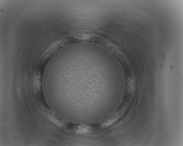 X0000085250612200703091300