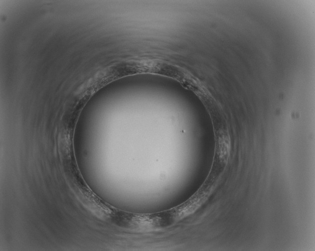 X0000085250613200703091300