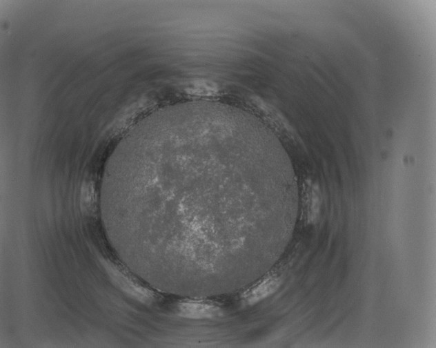 X0000085250614200703091300