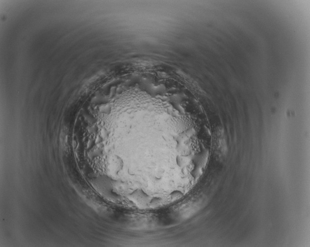 X0000085250615200703091300