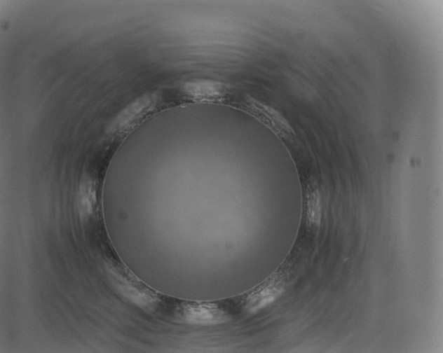 X0000085250618200703091259