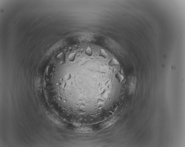 X0000085250619200703091259