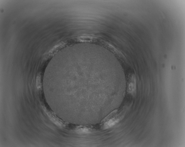 X0000085250620200703091259