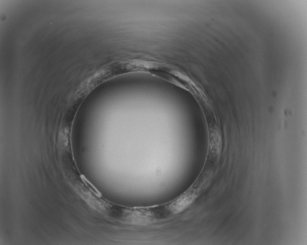 X0000085250621200703091259