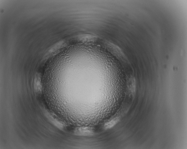 X0000085250622200703091259