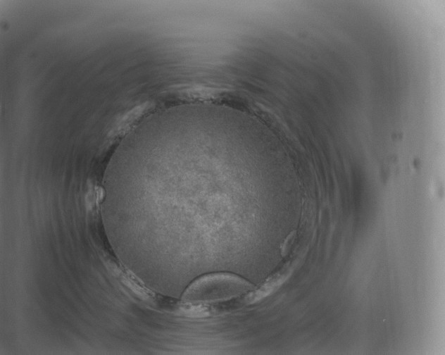 X0000085250624200703091259