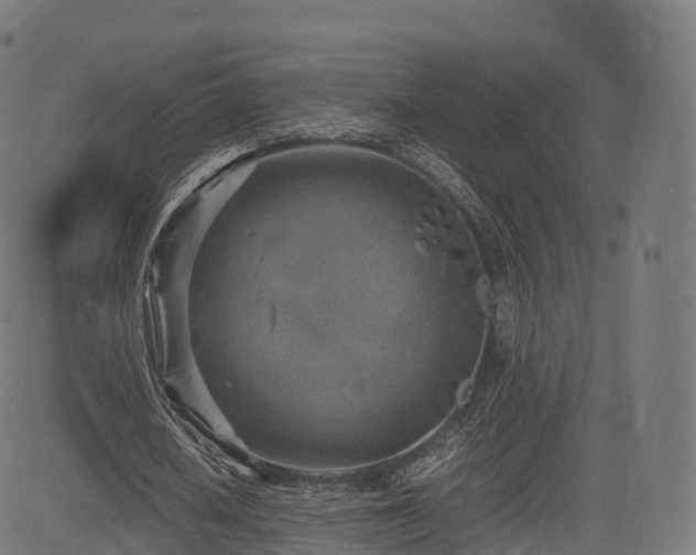 X0000085250626200703091259