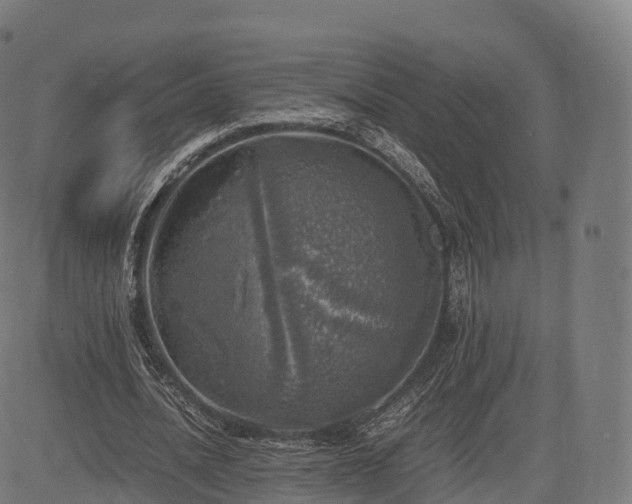 X0000085250628200703091259