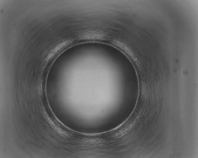 X0000085250629200703091259