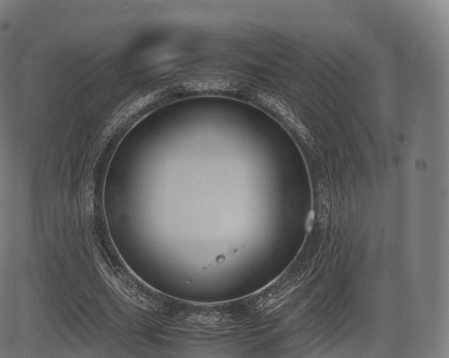 X0000085250631200703091259