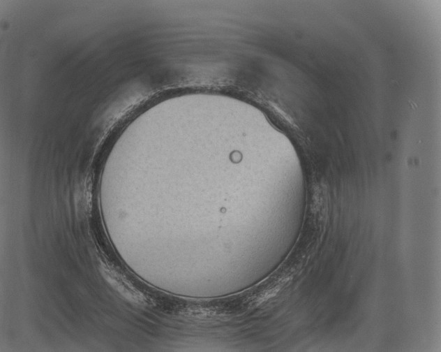 X0000085250632200703091259