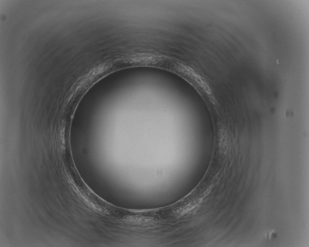 X0000085250633200703091259