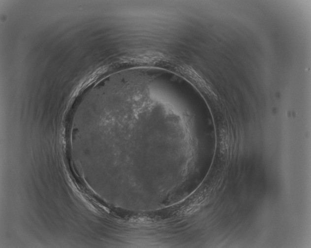 X0000085250634200703091259