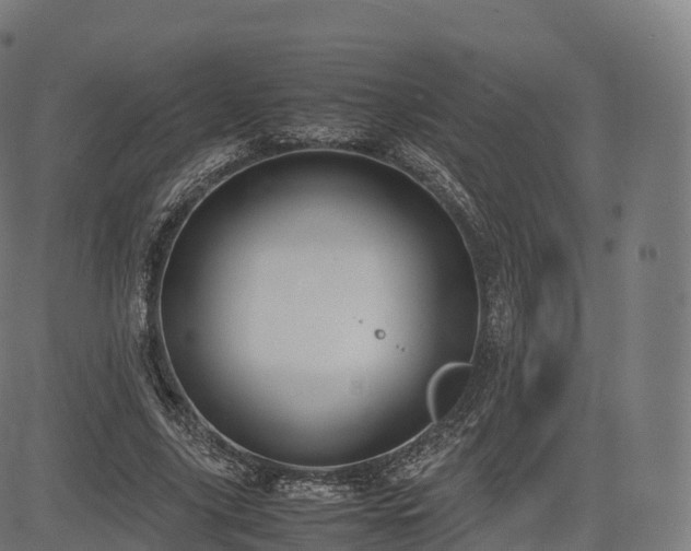 X0000085250635200703091259