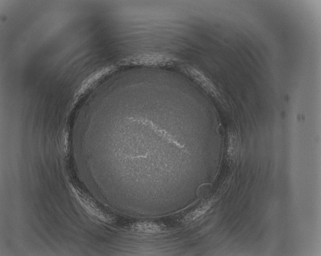 X0000085250636200703091259