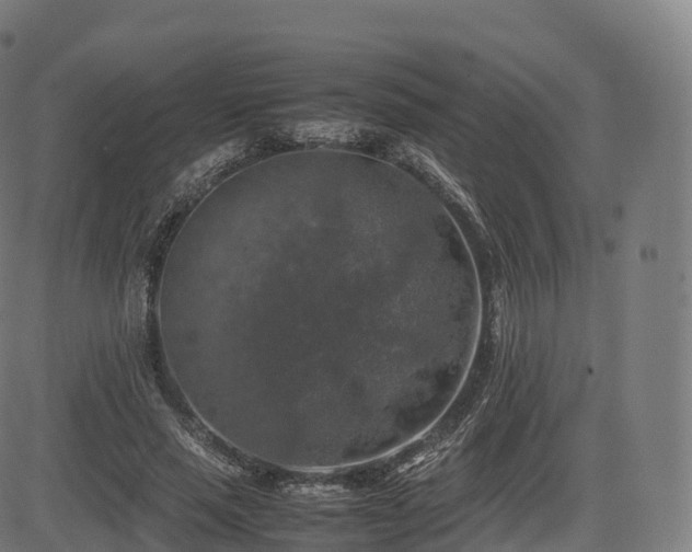 X0000085250637200703091259