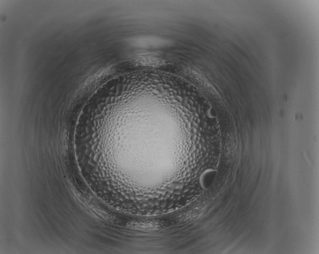 X0000085250639200703091259