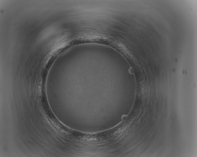 X0000085250640200703091259