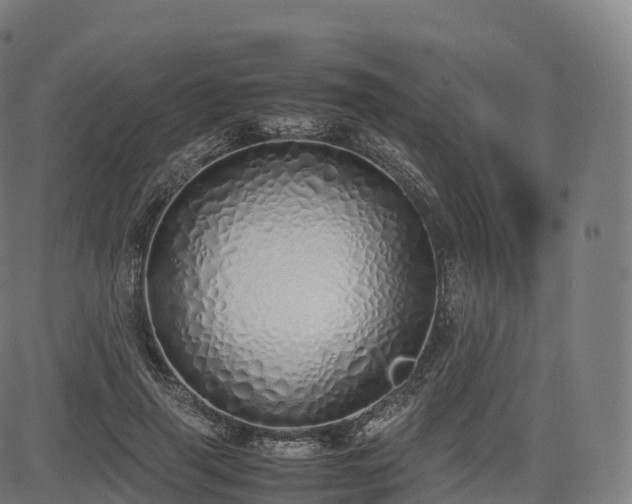 X0000085250645200703091259