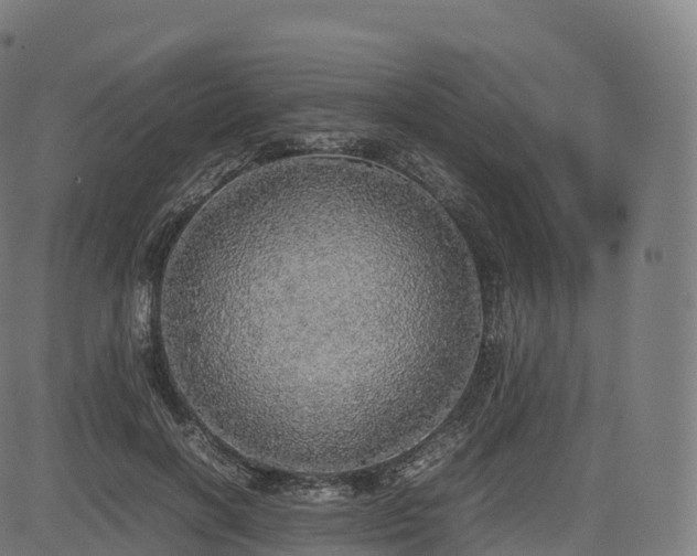 X0000085250646200703091259