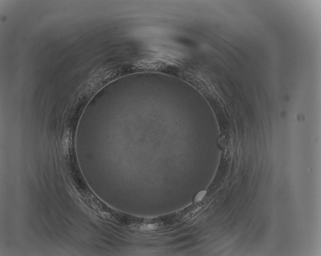 X0000085250647200703091259