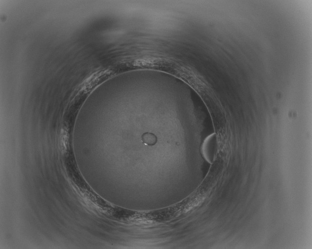 X0000085250648200703091259