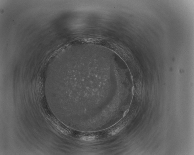 X0000085250653200703091259