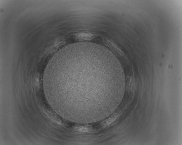 X0000085250655200703091259