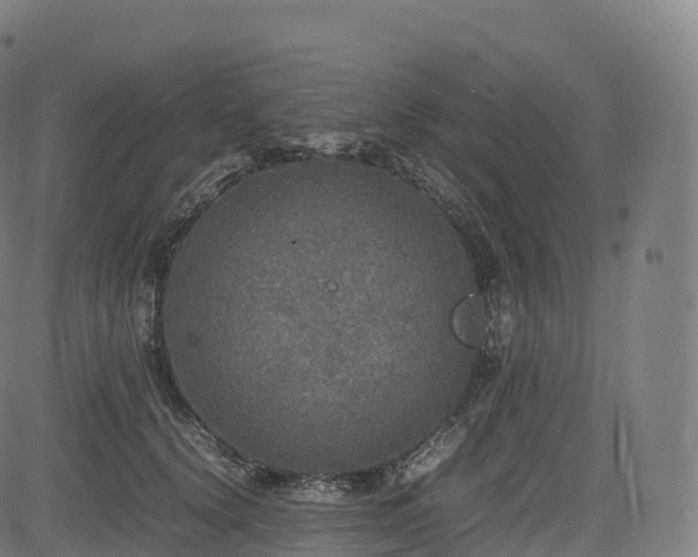 X0000085250656200703091259