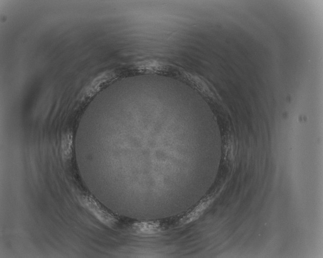 X0000085250660200703091259