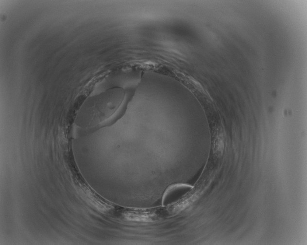 X0000085250661200703091259