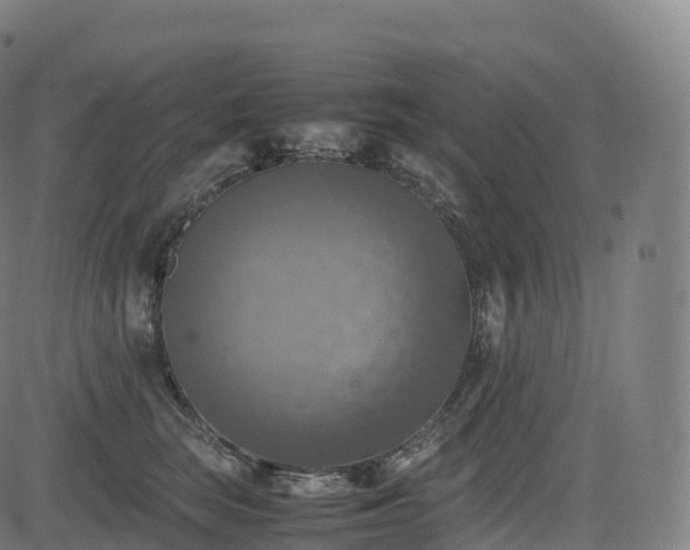 X0000085250663200703091259