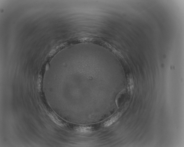 X0000085250664200703091259