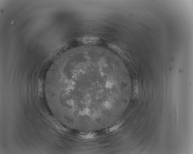 X0000085250667200703091259