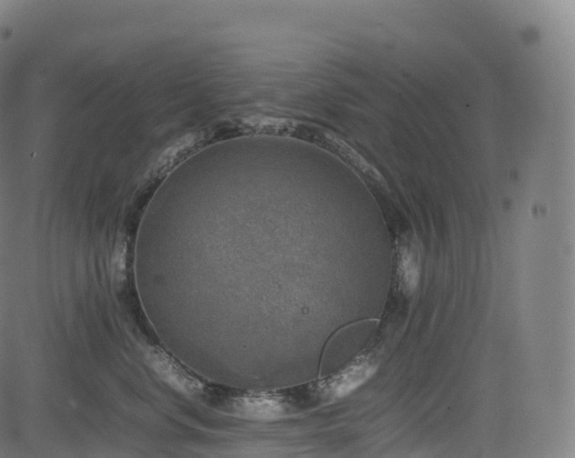 X0000085250668200703091259