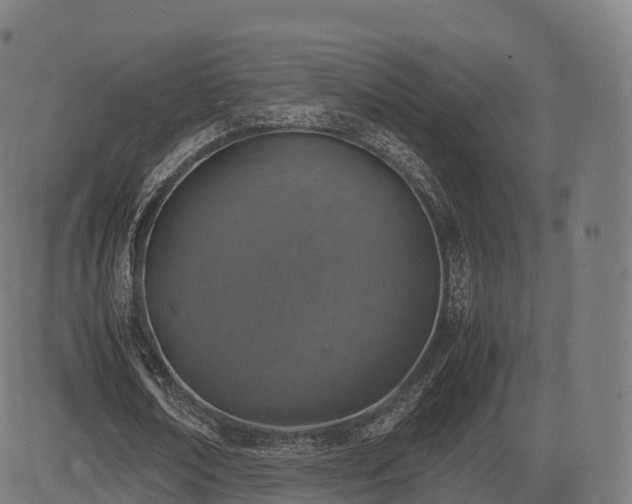 X0000085250674200703091259