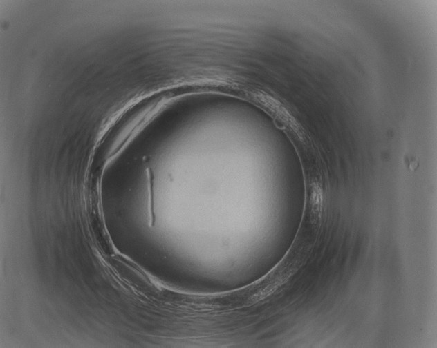 X0000085250676200703091258