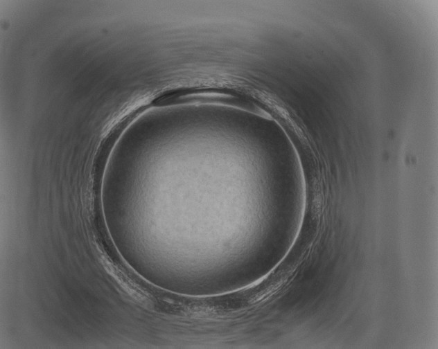 X0000085250677200703091258