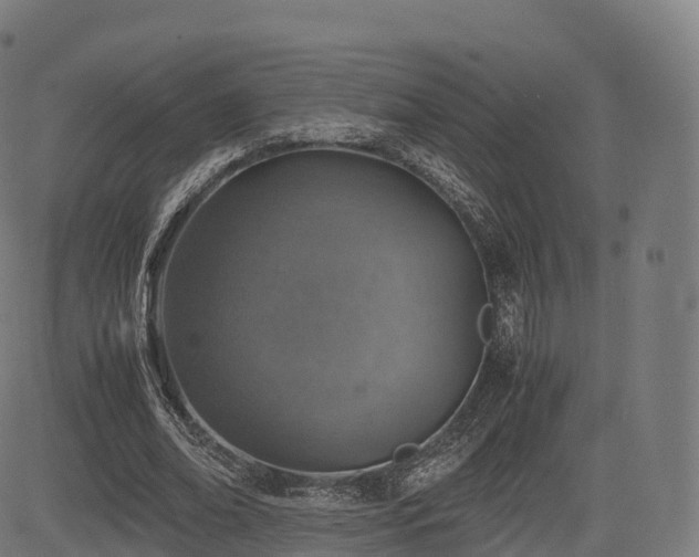 X0000085250678200703091258