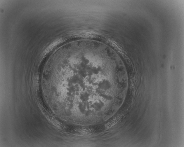 X0000085250679200703091258