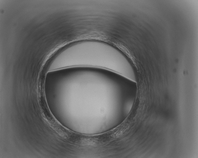 X0000085250680200703091258