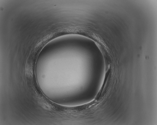 X0000085250681200703091258